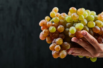 Bunch of fresh grapes in hand on black background