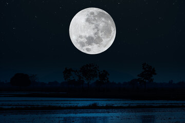 full moon with silhouette trees in the dark night.
