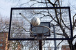 Öffentlicher Basketballkorb mit Ball in der Luft 