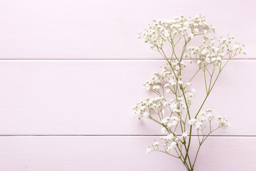 Sticker - Few twigs of Gypsophila flowers lay on light pink wooden background.  Top view with copy space. Flat lay