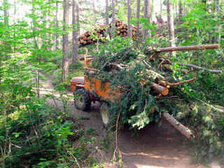 wood transport and logistics in forestry