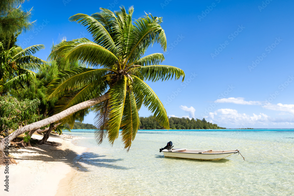 Beautiful beach with palm tree on a tropical island Stock Photo | Adobe ...