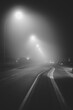 © nadirco - Fog on the road