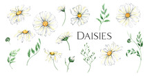 Watercolor Daisy Wreath Clipart, Chamomile Flowers Clipart, Hand Painted Daisies Frames, Watercolor White Flowers, Meadow Flowers Isolated For Baby Shower, Wedding, Birthday Card, Easter