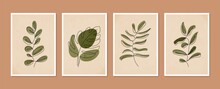 Collection Of Contemporary Art Posters. Botanical Wall Art Vector Set. Minimal And Natural Wall Art. Abstract Plant Art Design For Print, Wallpaper, Cover. Modern Vector Illustration.