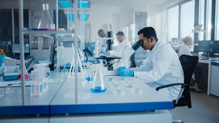 Wall Mural - modern medical research laboratory: diverse team of scientists working with pipette, analysing bioch