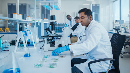 Wall Mural - modern medical research laboratory: diverse team of scientists working using microscope, analysing b