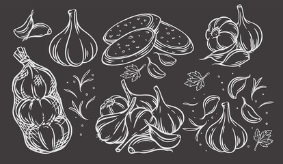 Wall Mural - Garlic outline drawn monochrome icon set on blackboard. Engraved drawn white on black pile of garlic bulbs, in net bag and runchy garlic bread. Vector illustration of vegetables, farm product.