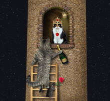 A Gray Cat With A Bottle Of Wine Climbs A Wooden Ladder To A High Tower Where His Beloved Is.