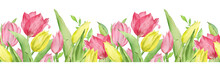 Watercolor Seamless Border Of Pink And Yellow Tulips And Green Leaves. Easter Floral Border.