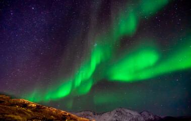 aurora borealis in the sky