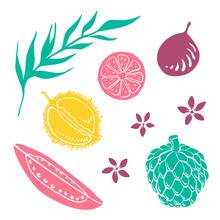 Colorful Sketch Collection Of Tropical Fruits And Flowers Isolated On White Background. Doodle Hand Drawn Fruit Icons. Vector Illustration