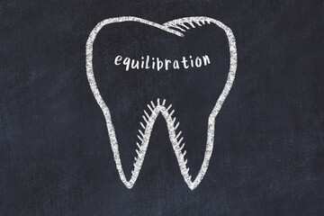 Wall Mural - Chalk drawing of a tooth with medical term equilibration. Concept of learning stomatology