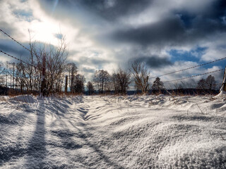 Canvas Print - Winterlandschaft