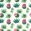 Seamless pattern with succulents. Watercolor botanical illustration, background succulents, haworthia, cacti, echeveria