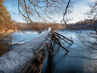 Canvas Print - Winterlandschaft