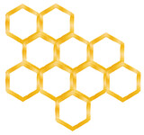 Fototapeta  - honeycomb isolated on a white background
