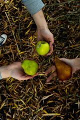 three girls holding fruits two pears and an apple