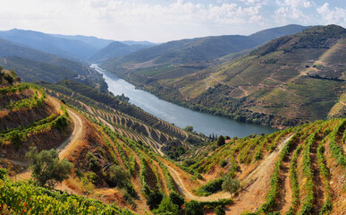 Sticker - Scenic view of Alto Douro Vinhateiro, Portugal