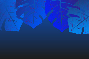 Wall Mural - Background from tropical leaves in blue. Large monstera leaf