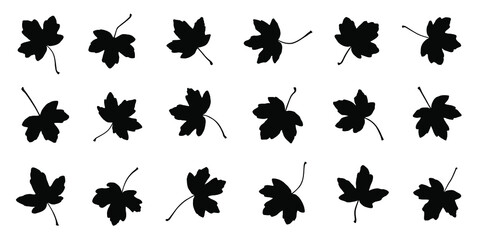Wall Mural - various maple field leaf silhouettes on the white background