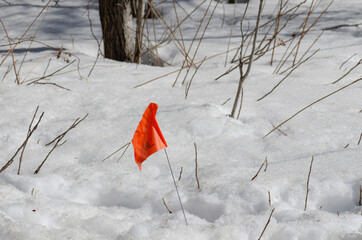 Orange flag marking underground wires in snow