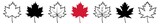 Fototapeta  - Maple Leaf Icon Canada Maple Leaf Set | Maple Leaves Icon Canadian Vector Illustration Logo | Maple-Leaf Icon Isolated Maple Leaf Collection