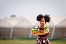 Little African American Curly Hair Girl Farmer Holding Basket Of Fresh Salad Vegetable At Farm.