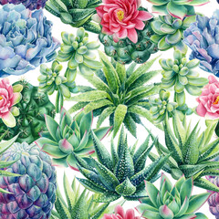  Succulent and cactus seamless pattern. Watercolor botanical illustration, background succulents, stone rose