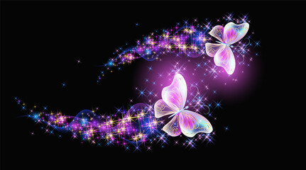 Wall Mural - Magic two butterflies with fantasy sparkle, blazing trail and glowing stars on black background