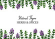 © Kseniia - Hand drawn horizontal thyme frame. Vector illustration isolated on white. Botanical herbal plant in vintage colored sketch style. Thymus vulgaris.