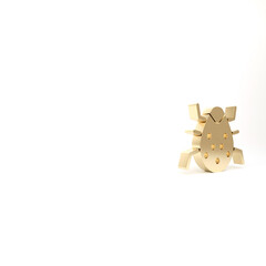 Wall Mural - gold system bug concept icon isolated on white background. code bug concept. bug in the system. bug 