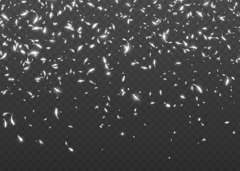 Wall Mural - Falling silver confetti, shiny tinsel, and pieces of serpentine, abstract party background. Christmas decoration isolated on dark transparent backdrop. Realistic vector illustration.