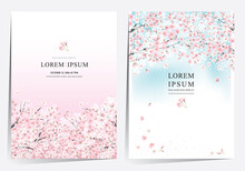 Vector Editorial Design Frame Set Of Spring Landscape With Cherry Trees In Full Bloom. Design For Social Media, Party Invitation, Print, Frame Clip Art And Business Advertisement And Promotion