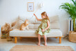 © Olesya Pogosskaya - Cute little girl in a green dress playing with a cat at home on the couch in the living room