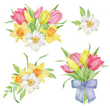 Watercolor Pink And Yellow Tulips And Daffodils Bouquets. Easter Set Of Floral Compositions.