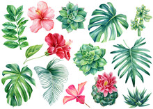 Set Tropical Flowers And Leaves On Isolated White Background, Watercolor Painting, Invitation Cards