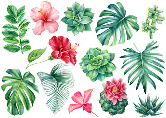 Set Tropical flowers and leaves on isolated white background, watercolor painting, invitation cards