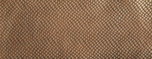 snakeskin leather dark brown background
