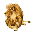 Lion on isolated white background watercolor botanical painting