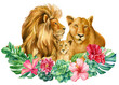 Lions family on isolated white background watercolor painting. Art poster