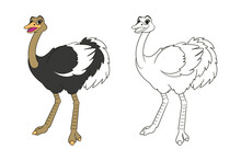 Long Legged Cute Ostrich Coloring Book For Kids. Vector Isolated Line Art Illustration, In Cartoon Style