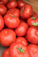 Wall Mural - Fresh tomatoes, USA