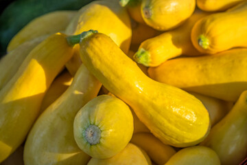 Poster - Summer squash, USA