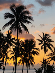 Wall Mural - Fiji, Taveuni Island. Beach sunset with palm trees.