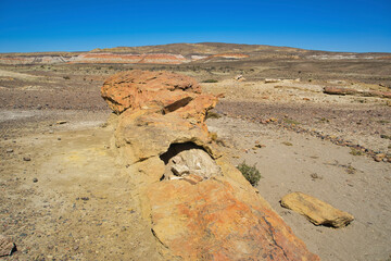 Sticker - Argentina, Chubut. Petrified Forest Natural Monument.