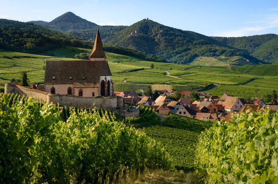 summer sunset view of the medieval church of saint-jacques-le-major in hunawihr, small village betwe