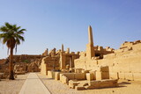 Fototapeta Do akwarium - エジプトのルクソールにあるカルナック神殿