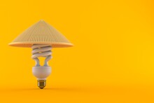 Light Bulb With Chinese Hat