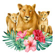 Lions family on isolated white background watercolor botanical painting. Poster